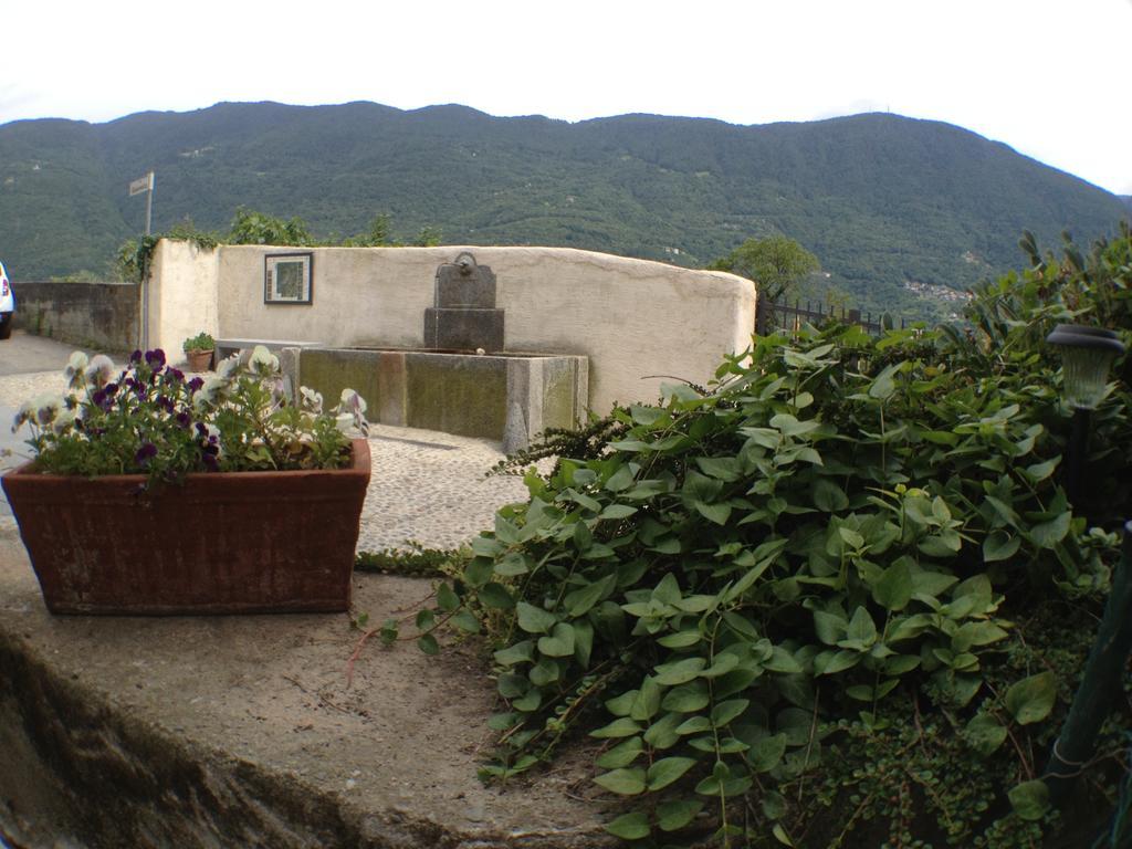 Agriturismo Antico Filare Bianzone Eksteriør billede